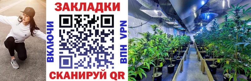 Купить закладку Шадринск АМФ  Гашиш  Канабис  СК 