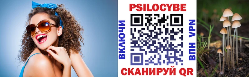 Псилоцибиновые грибы Psilocybe kraken ССЫЛКА Шадринск