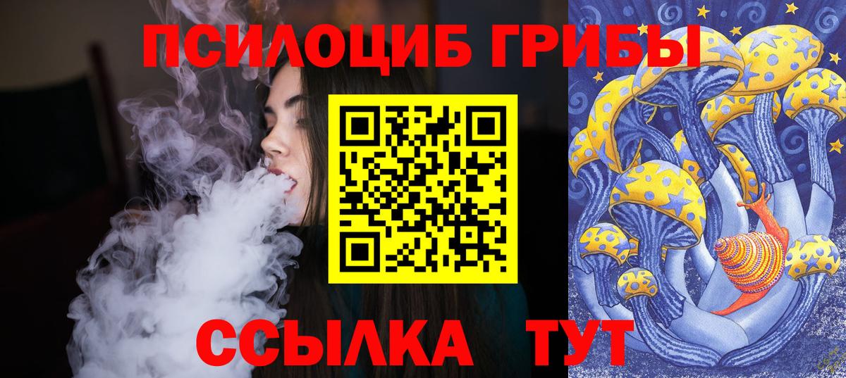 Шадринск  Галлюциногенные грибы MAGIC MUSHROOMS  Вход с VPN  Галлюциногенные грибы Psilocybine cubensis 