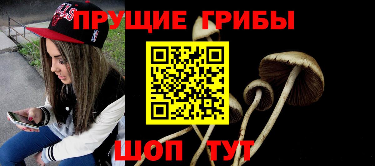 Галлюциногенные грибы Psilocybine cubensis Шадринск