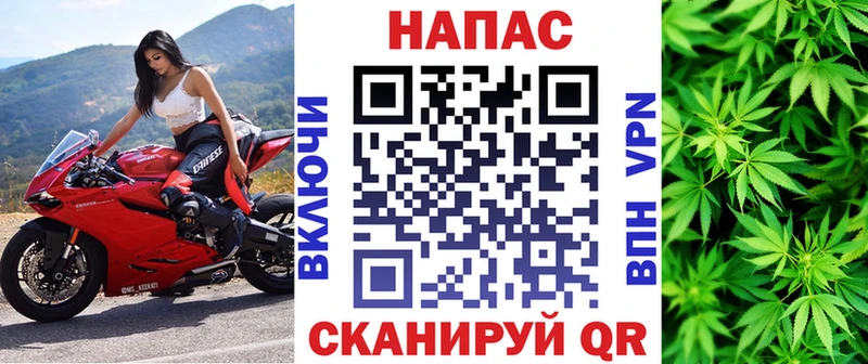 Бошки марихуана гибрид  Шадринск 