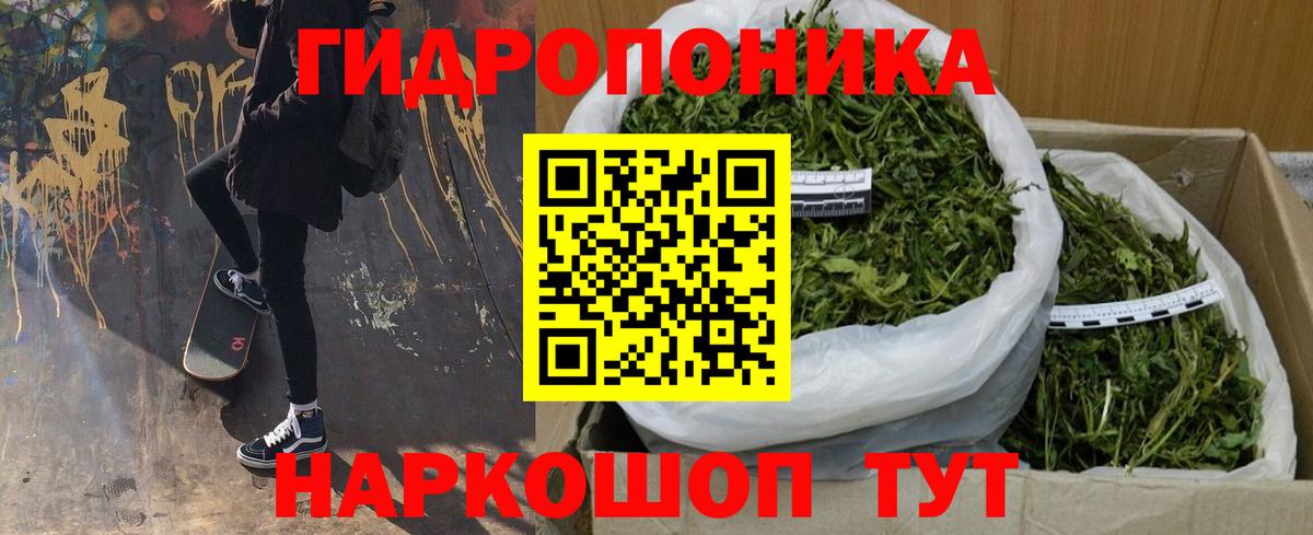 Бошки марихуана семена  Марихуана сатива  Шадринск  МАРИХУАНА тримм  МАРИХУАНА OG Kush 